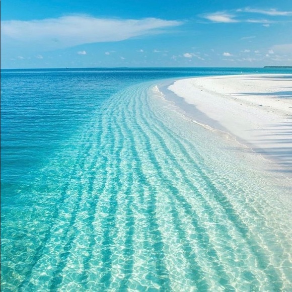 Meet your Posher, Erica - Picture 1 of 1